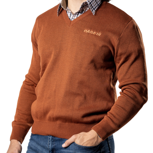 JERSEY RUST LONG SLEEVE