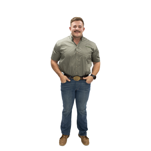 OLIVE SHORT SLEEVE SHIRT MEN